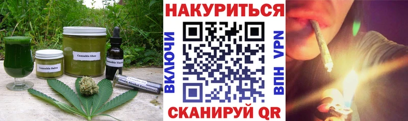 Canna-Cookies марихуана  Нерюнгри 