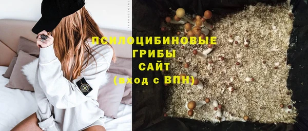 прущие крисы Баксан