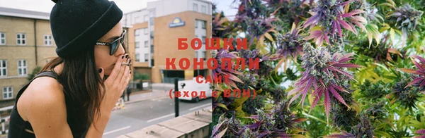 прущие крисы Баксан