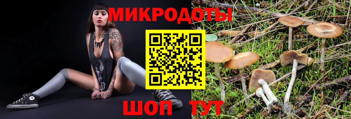 Псилоцибиновые грибы MAGIC MUSHROOMS  Вход с VPN  Нерюнгри 