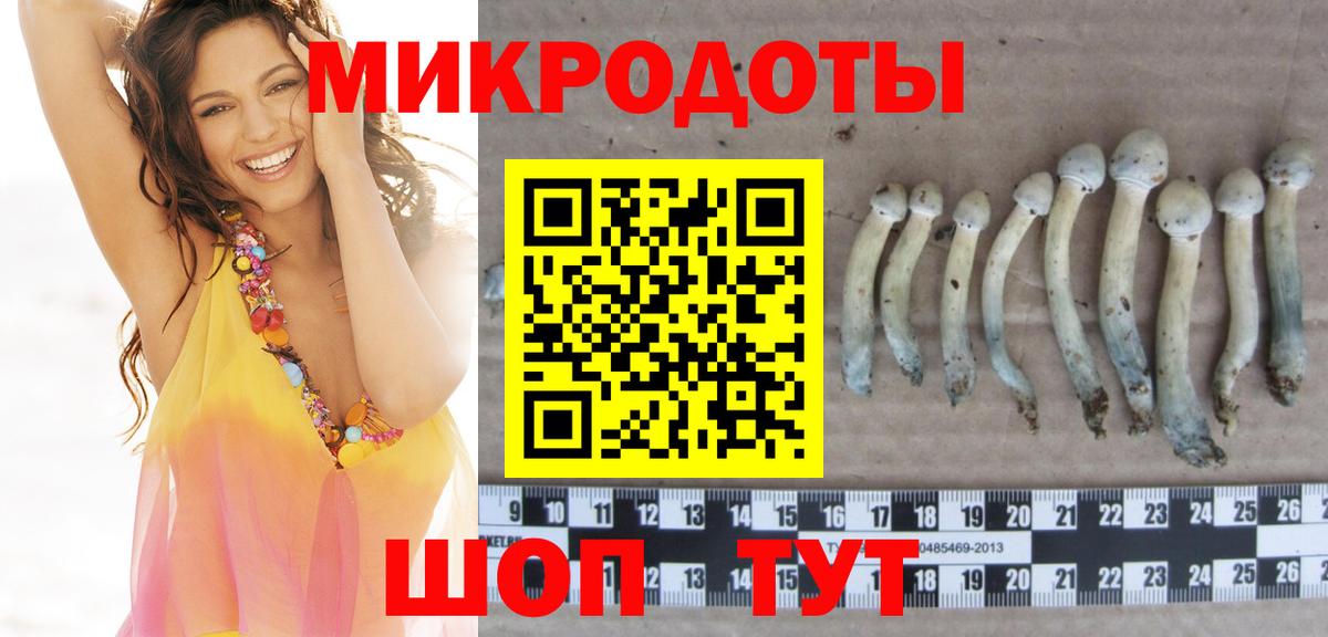 Псилоцибиновые грибы GOLDEN TEACHER Нерюнгри