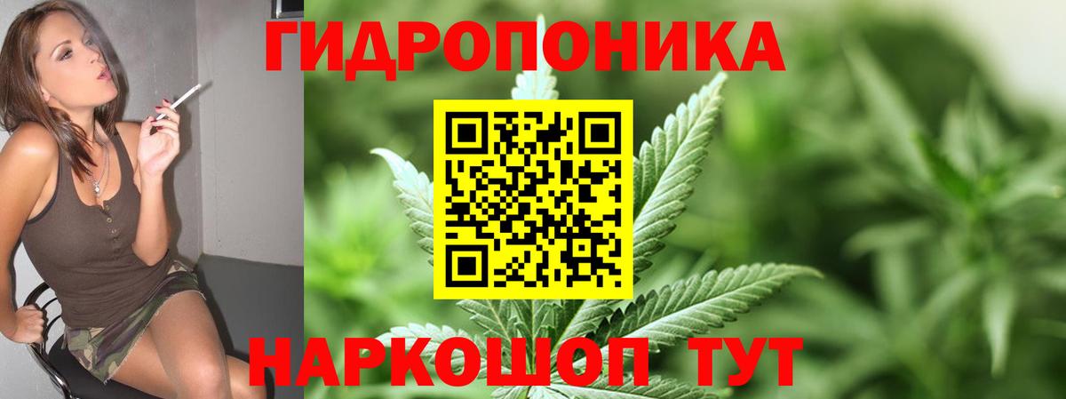Конопля гибрид Нерюнгри